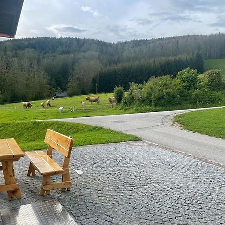 Ferienwohnung ,Hoizmann' Pinsdorf Zewnętrze zdjęcie