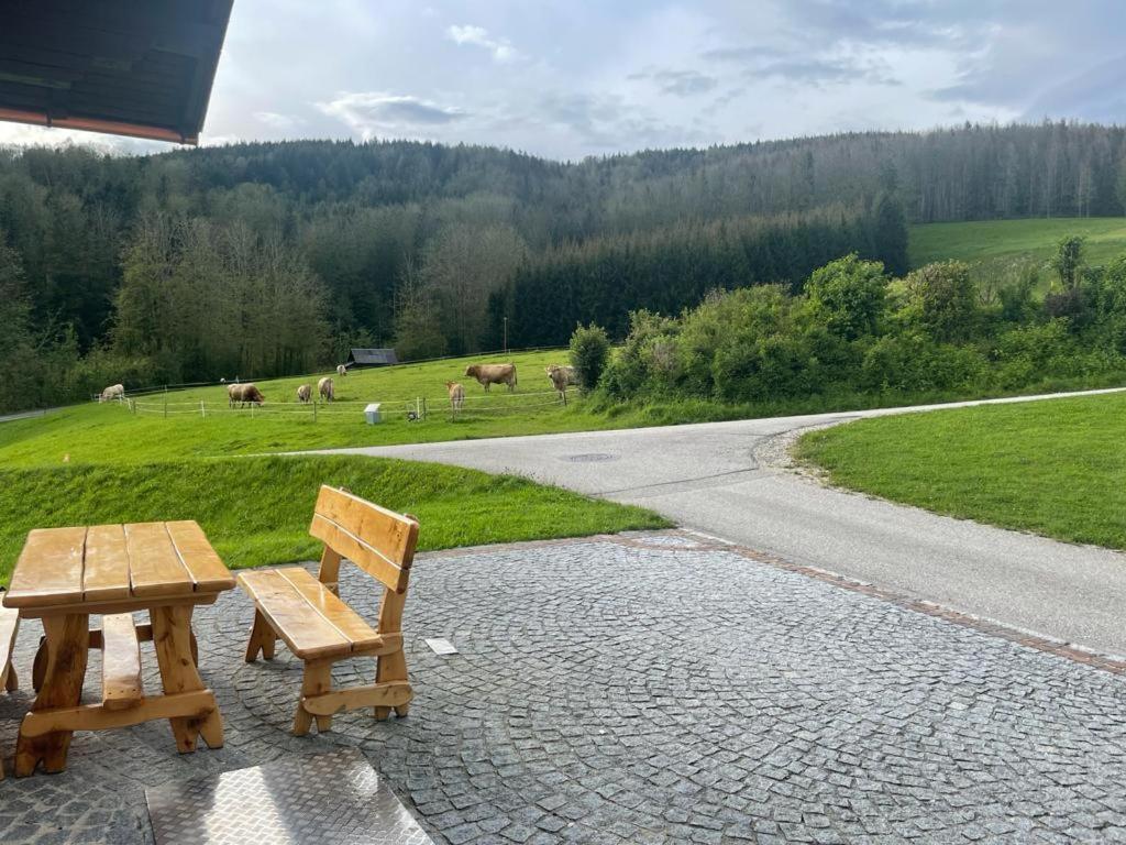 Ferienwohnung ,Hoizmann' Pinsdorf Zewnętrze zdjęcie
